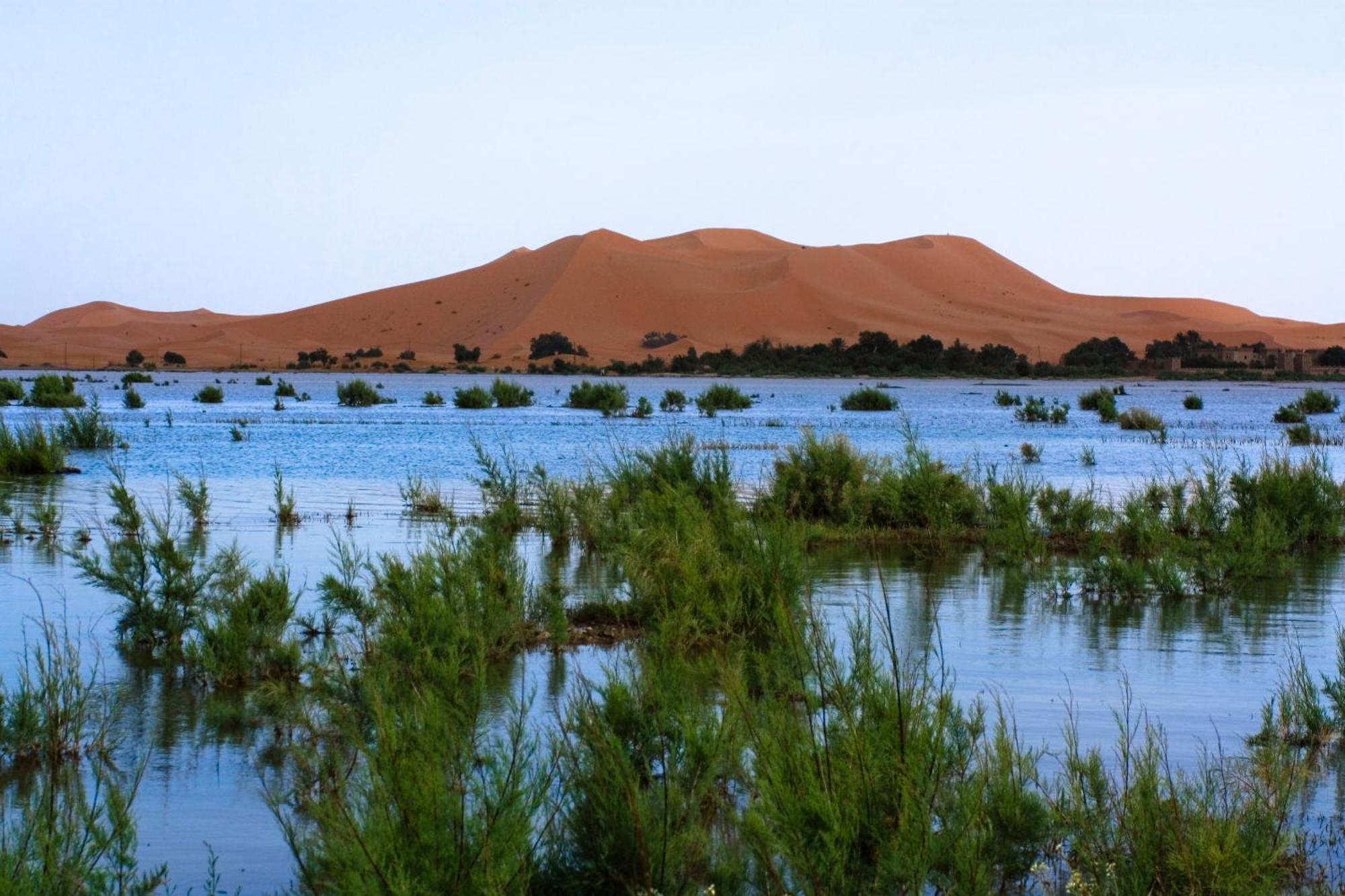 De Charme Les Dunes D´or